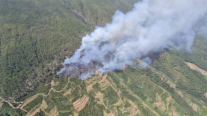 Два пожара за сегодня на севере острова Тенерифе. Пока что небольшие Два пожара за сегодня на севере острова Тенерифе. Пока что небольшие
