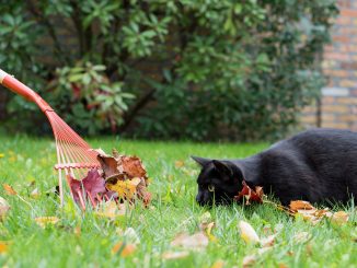 Недвижимость на Канарах: очередные грабли и очередной "пузырь" уже рядом