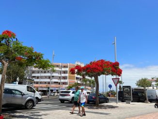 У мошенников с юга Тенерифе конфискована недвижимость и заморожены счета