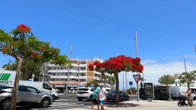 У мошенников с юга Тенерифе конфискована недвижимость и заморожены счета