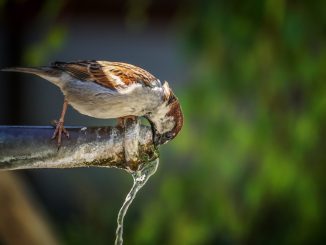 Волна жары идёт на Канарские острова, новые предупреждения о риске пожаров