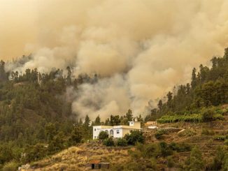 Пожар на острове Ла-Пальма не расширяется, но продолжает оставаться активным