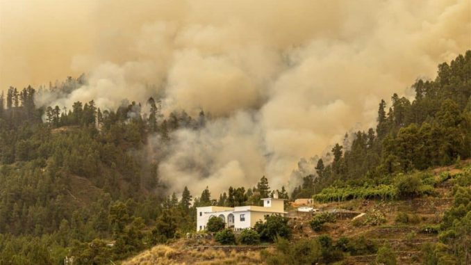 Пожар на острове Ла-Пальма не расширяется, но продолжает оставаться активным Пожар на острове Ла-Пальма не расширяется, но продолжает оставаться активным