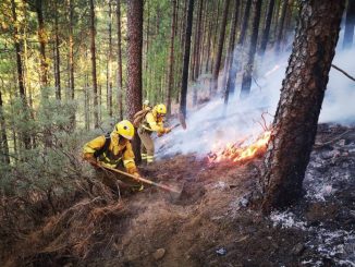 Оповещение об опасности пожаров на Канарских островах: опять пришла беда