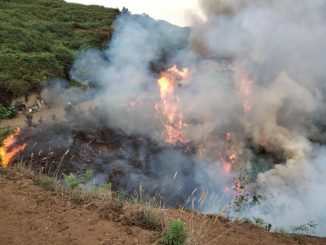 Отличная новость для Тенерифе: поджигатель из Los Realejos был арестован сегодня утром