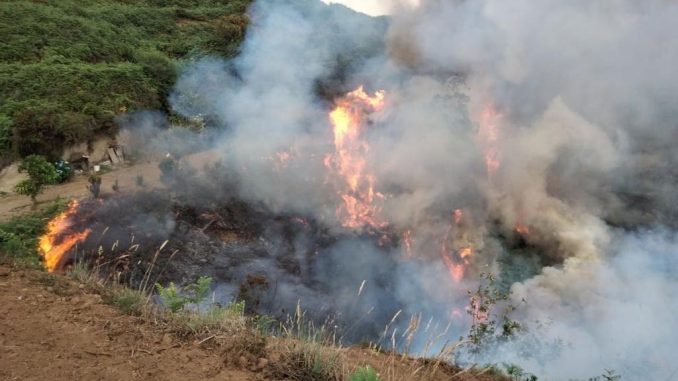 Отличная новость для Тенерифе: поджигатель из Los Realejos был арестован сегодня утром Отличная новость для Тенерифе: поджигатель из Los Realejos был арестован сегодня утром