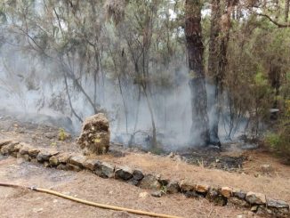 Суббота не обошлась без пожаров: сегодня возгорание в La Guancha, снова на севере