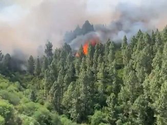 Пожар в Los Realejos контролируется, власти расследуют причины его возникновения