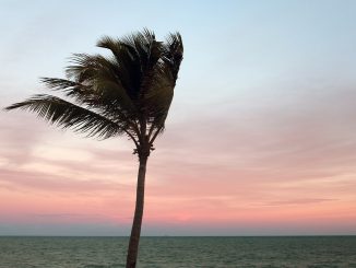 Готовьтесь, Канары! В четверг температура будет ещё выше, калима прячет океан и горы