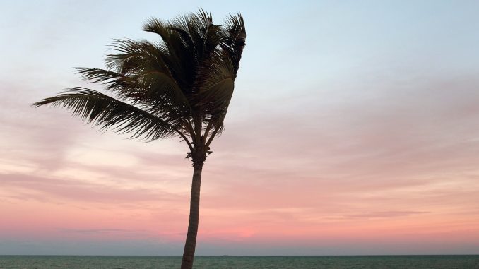Готовьтесь, Канары! В четверг температура будет ещё выше, калима прячет океан и горы