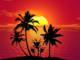 Лето 2022 года было "самым жарким в Европе": погибло более 61000 человек