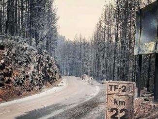 Такого пожара не помнят на Канарских островах. Власти ищут причины и виновных