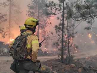 Пожар на Тенерифе: "поджигатели знали, что потушить огонь будет очень сложно"