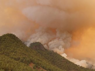 Пожар на Тенерифе: данные о ситуации противоречивые, огонь поворачивает на запад