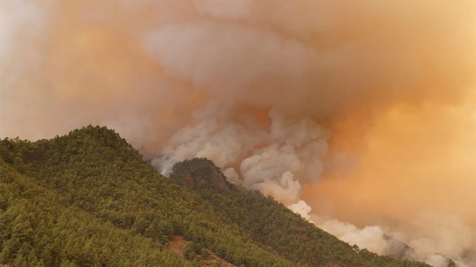 Пожар на Тенерифе: данные о ситуации противоречивые, огонь поворачивает на запад Пожар на Тенерифе: данные о ситуации противоречивые, огонь поворачивает на запад