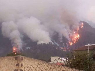 Пожар на Тенерифе: теперь Гражданская гвардия засомневалась в том, что был поджог