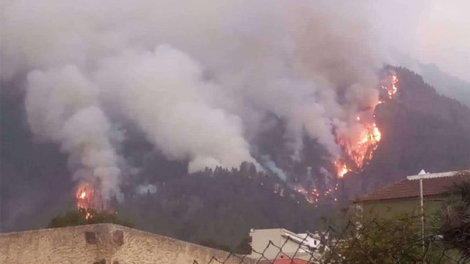 Пожар на Тенерифе: теперь Гражданская гвардия засомневалась в том, что был поджог Пожар на Тенерифе: теперь Гражданская гвардия засомневалась в том, что был поджог