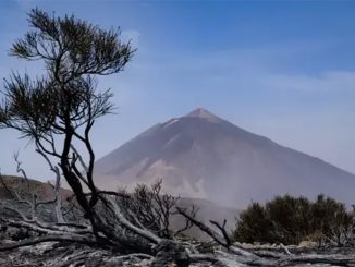 Пожар на Тенерифе: периметр стабилизирован, но есть и проблемы