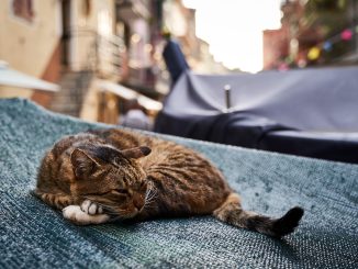 Проблема Европы: Италия предупреждает, что в стране не хватает 48% рабочей силы