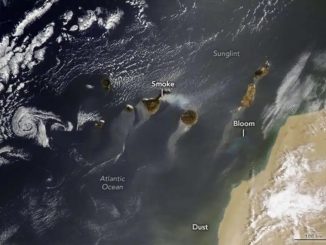 Пожары на острове Тенерифе. Всё, что известно о них на сегодняшний день