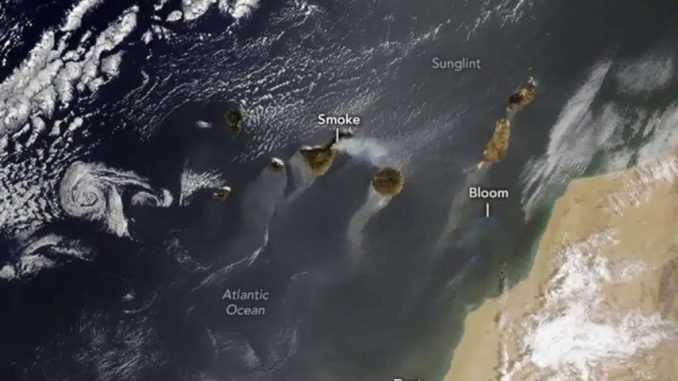 Пожары на острове Тенерифе. Всё, что известно о них на сегодняшний день Пожары на острове Тенерифе. Всё, что известно о них на сегодняшний день