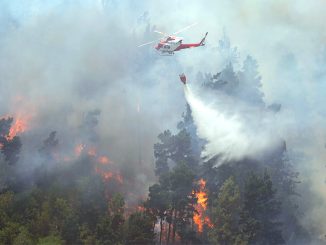 Пожар на Тенерифе: ситуация критическая, огонь распространяется бесконтрольно