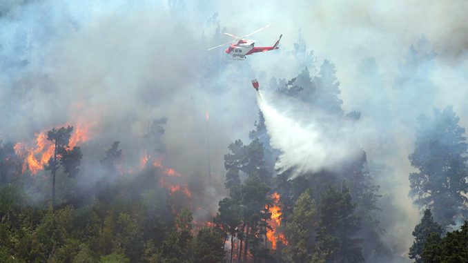 Пожар на Тенерифе: ситуация критическая, огонь распространяется бесконтрольно