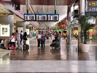 Пожар на Тенерифе: работа портов, аэропортов и ​​дорог на острове