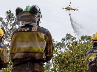 Уровень опасности пожара на Тенерифе снизили до 1-го нижнего уровня