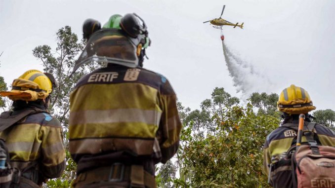 Уровень опасности пожара на Тенерифе снизили до 1-го нижнего уровня