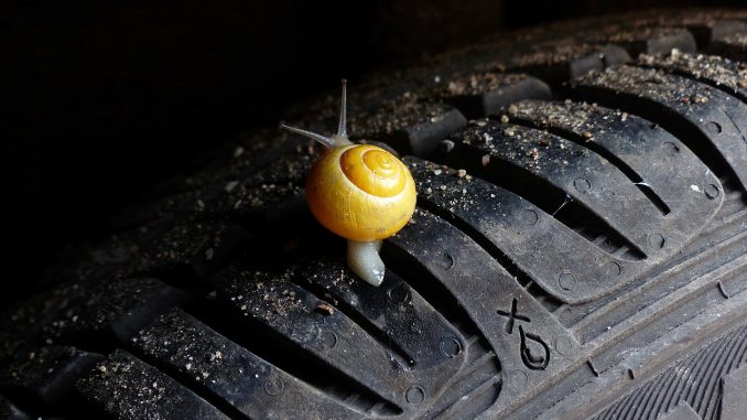 Любопытство не порок? В запретной зоне пожара полно любопытствующих