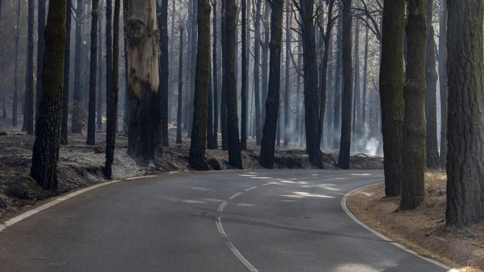 Правительство Испании объявило остров Тенерифе зоной катастрофы из-за пожара