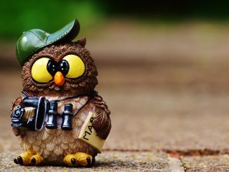 Резиновые Канарские острова: число туристов в августе выросло до 9 миллионов