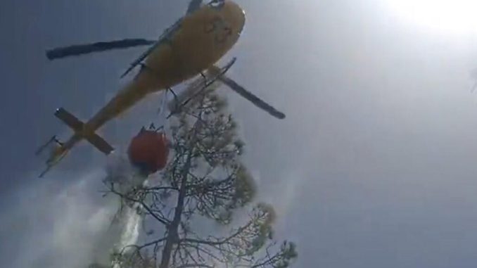 Пожар на Тенерифе: огонь, так и не побеждённый до конца, вновь проснулся Пожар на Тенерифе: огонь, так и не побеждённый до конца, вновь проснулся