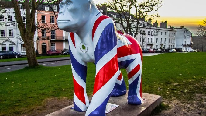 Тенерифе остался вдалеке: двух пьяных англичанок выгнали из самолёта Тенерифе остался вдалеке: двух пьяных англичанок выгнали из самолёта