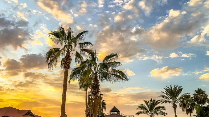 Канарские острова "продемонстрировали свою силу и стойкость" в туризме Канарские острова "продемонстрировали свою силу и стойкость" в туризме