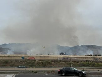 Пожар в Parque La Reina: завод по производству компоста продолжает гореть