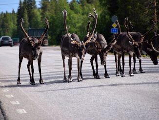 Маловато пробок на Тенерифе? Было зарегистрировано ещё 75000 автомобилей