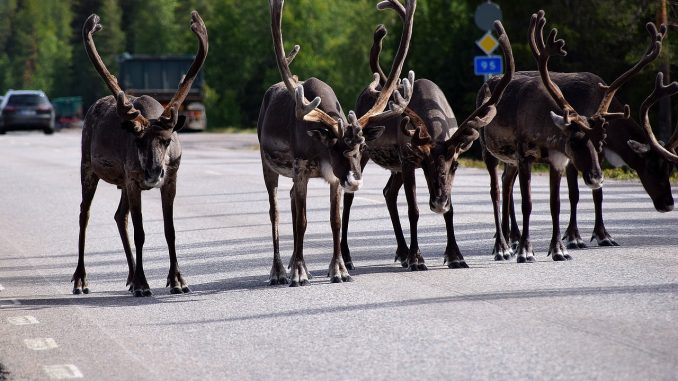 Маловато пробок на Тенерифе? Было зарегистрировано ещё 75000 автомобилей Маловато пробок на Тенерифе? Было зарегистрировано ещё 75000 автомобилей
