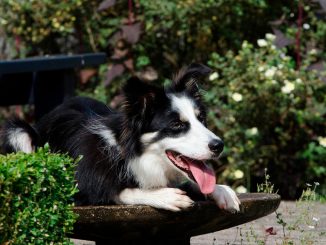 Зима, где ты? Aemet обещает новое повышение температуры на Канарах