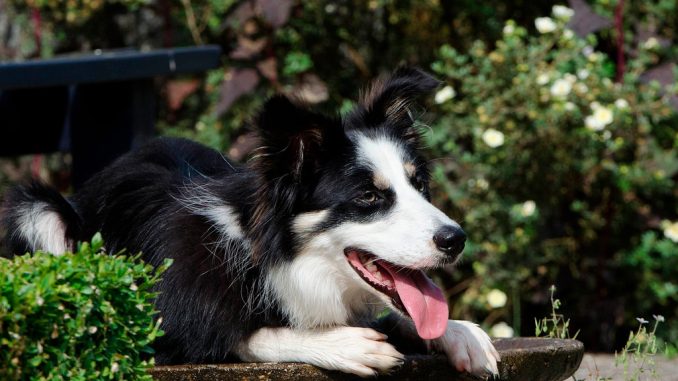 Зима, где ты? Aemet обещает новое повышение температуры на Канарах Зима, где ты? Aemet обещает новое повышение температуры на Канарах