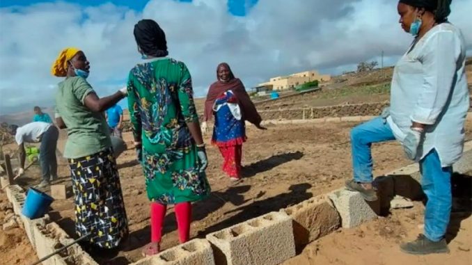 На Канарах практикуются калечащие операции на женских половых органах На Канарах практикуются калечащие операции на женских половых органах