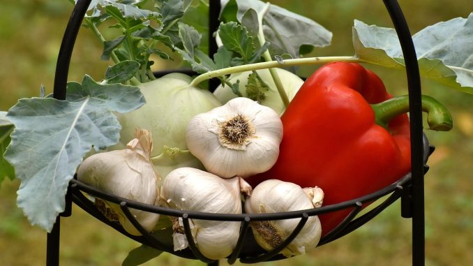 Испания: за кризисом местного оливкового масла идёт кризис чеснока Испания: за кризисом местного оливкового масла идёт кризис чеснока