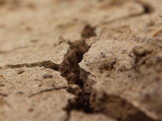 На Канарских островах созывают срочный саммит из-за сильной засухи