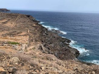 Новые данные об ужасной находке возле берегов Тенерифе