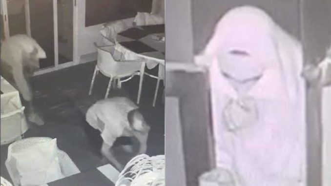 Тенерифе: грабили на карачках и с закрытыми лицами - пойманы Тенерифе: грабили на карачках и с закрытыми лицами - пойманы