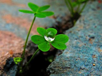 Aemet обещает изменения погоды на Канарах с сегодняшнего дня