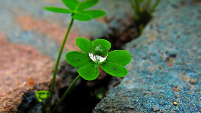 Aemet обещает изменения погоды на Канарах с сегодняшнего дня Aemet обещает изменения погоды на Канарах с сегодняшнего дня