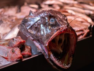 Супермаркеты повышают цены: некоторые продукты становятся почти «роскошью»