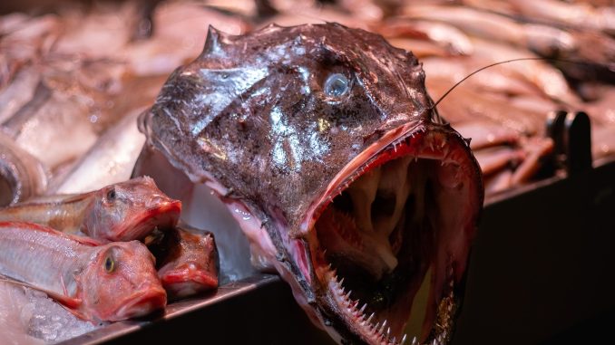 Супермаркеты повышают цены: некоторые продукты становятся почти «роскошью» Супермаркеты повышают цены: некоторые продукты становятся почти «роскошью»